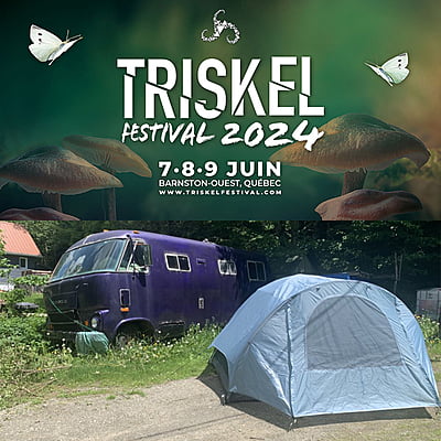 Triskel Festival 2014 - Bivouac Simple